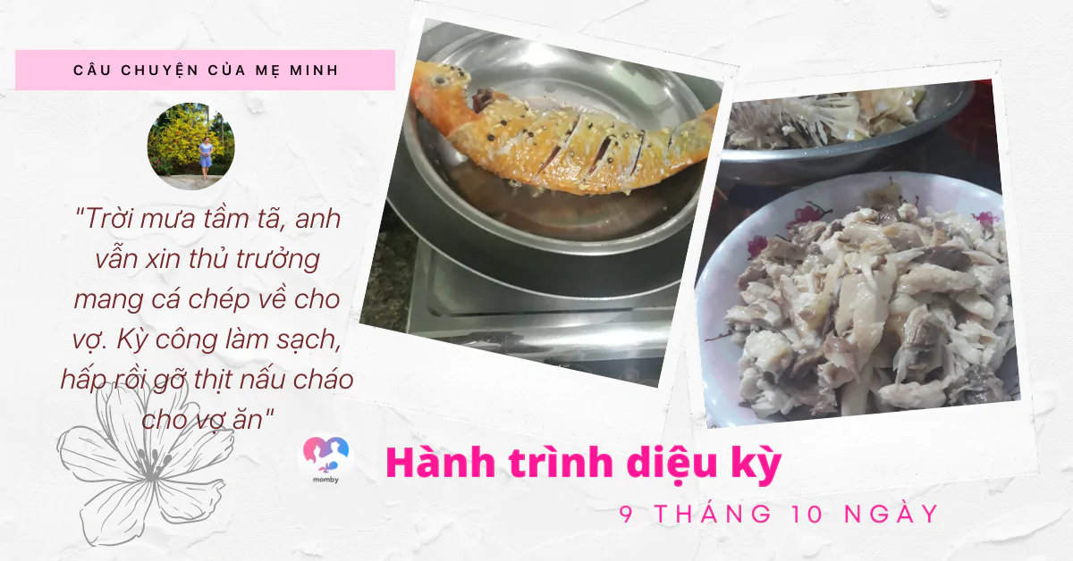 6 năm “tìm con” đầy gian khổ và hạnh phúc vỡ oà khi con đến bên ba mẹ – Hành trình diệu kỳ 9 tháng 10 ngày