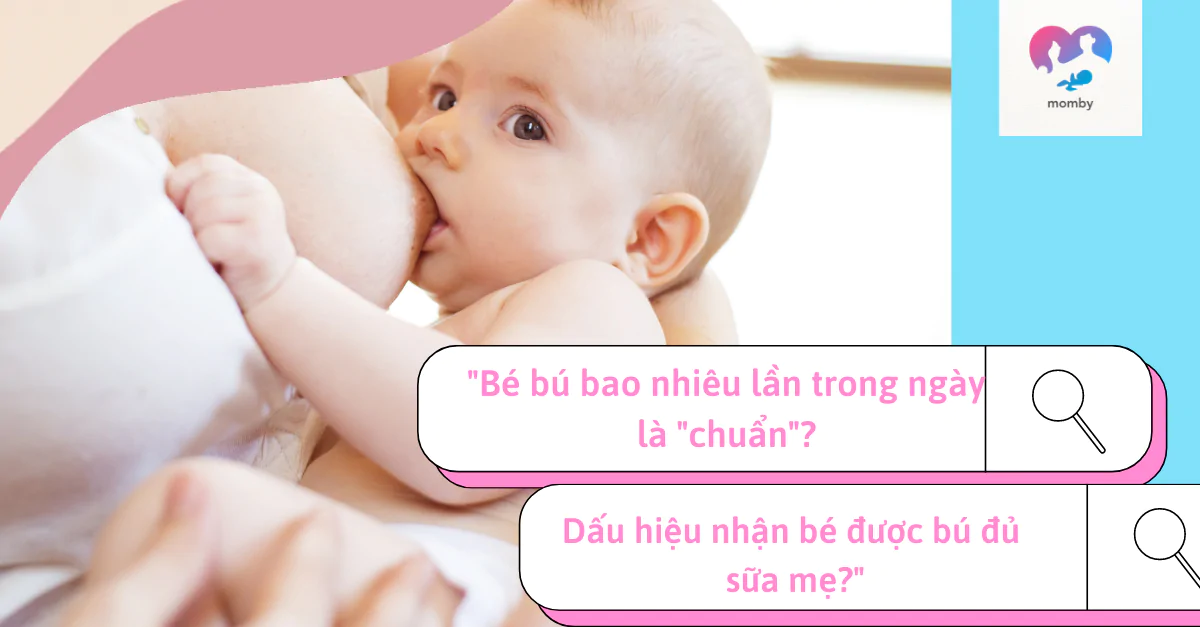  Bé bú bao nhiêu lần trong ngày là 
