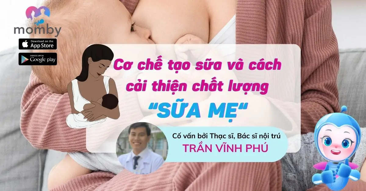 Cơ chế tạo sữa và cách cải thiện chất lượng sữa mẹ