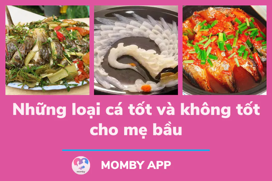 Điểm danh những loại cá có lợi và có hại mẹ bầu cần biết