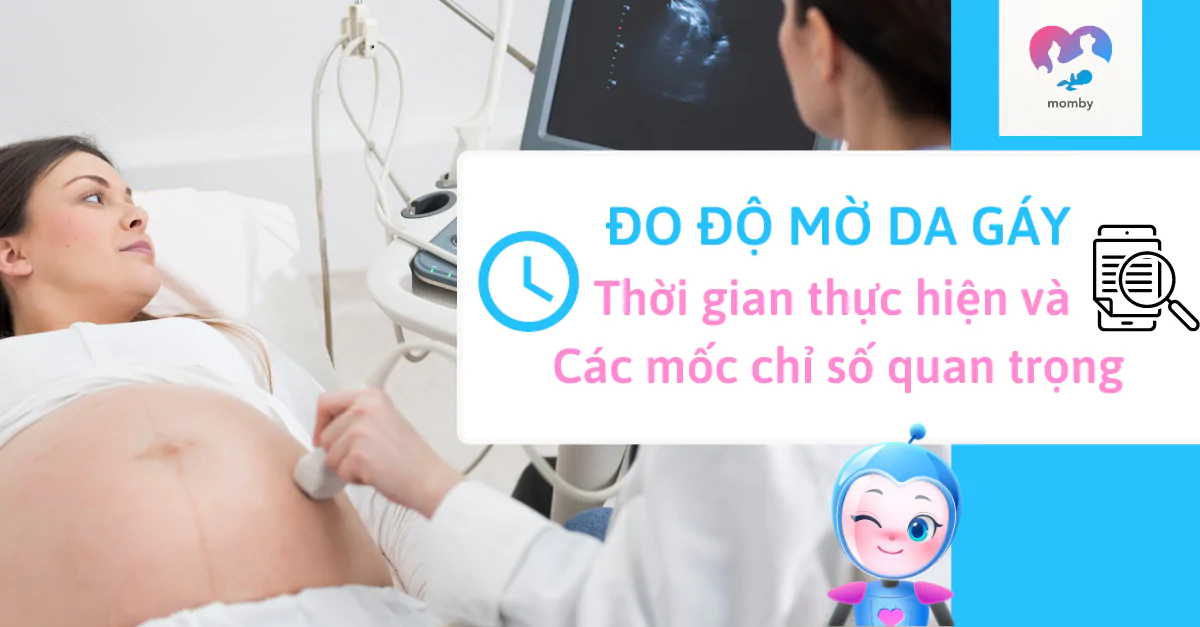 Đo độ mờ da gáy: thời gian thực hiện và các mốc chỉ số quan trọng
